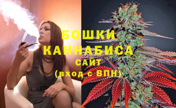 mix Богородицк